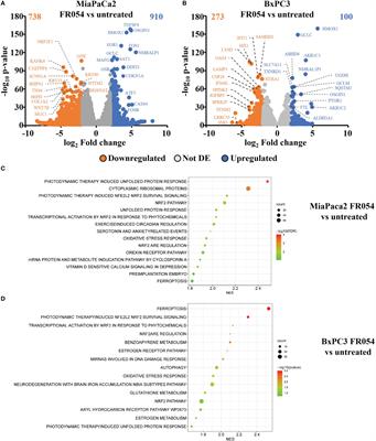 PGM3 inhibition shows cooperative effects with erastin inducing pancreatic cancer cell death via activation of the unfolded protein response